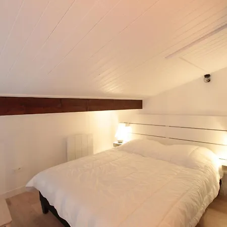 D'arâches, 2 Pièces, 4 Personnes - Fr-1-572-15 Appartement *